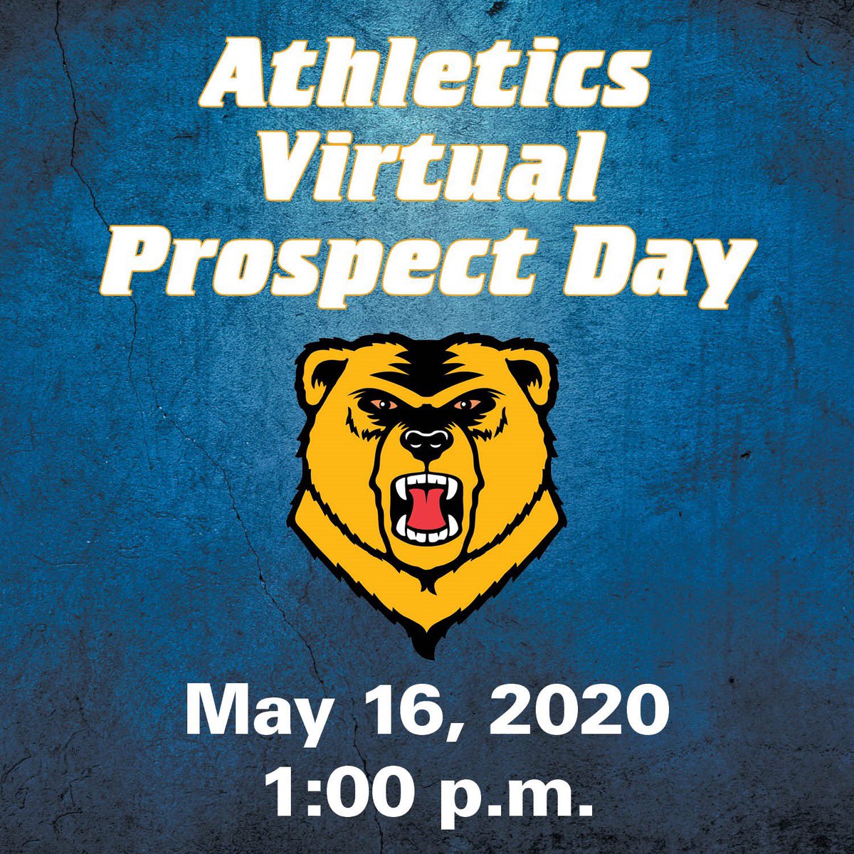 WNE Field Hockey tweet media