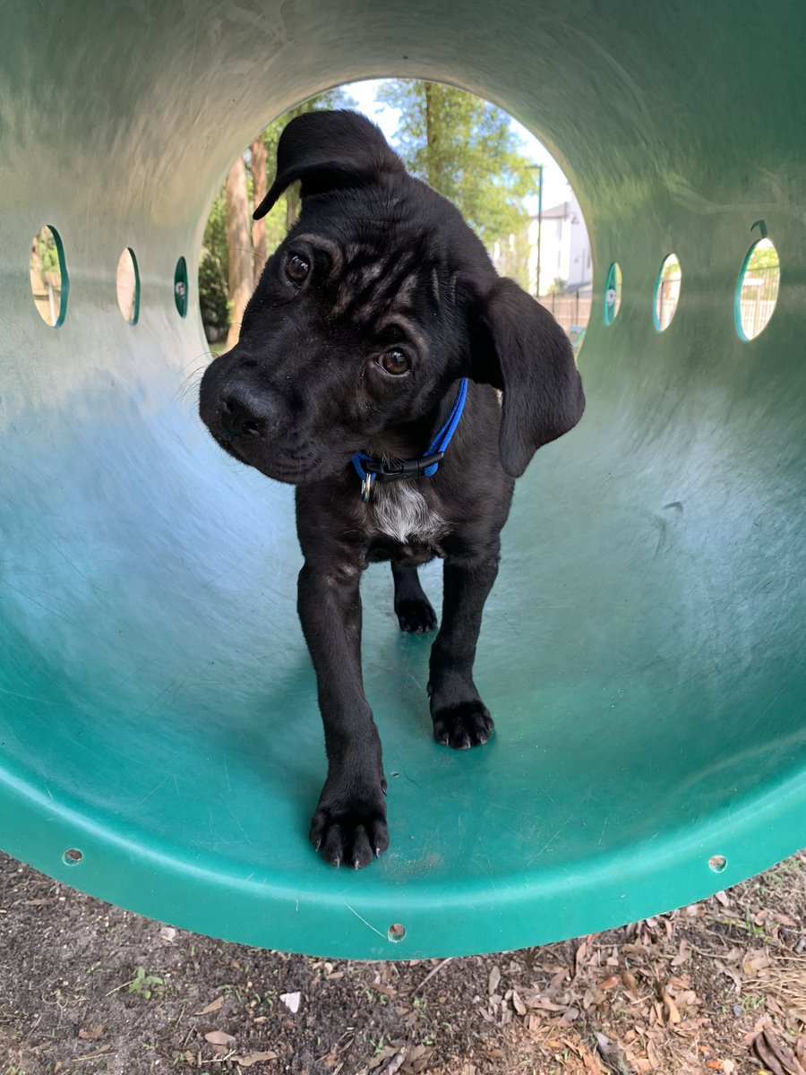 Rachel Slocum tweet media