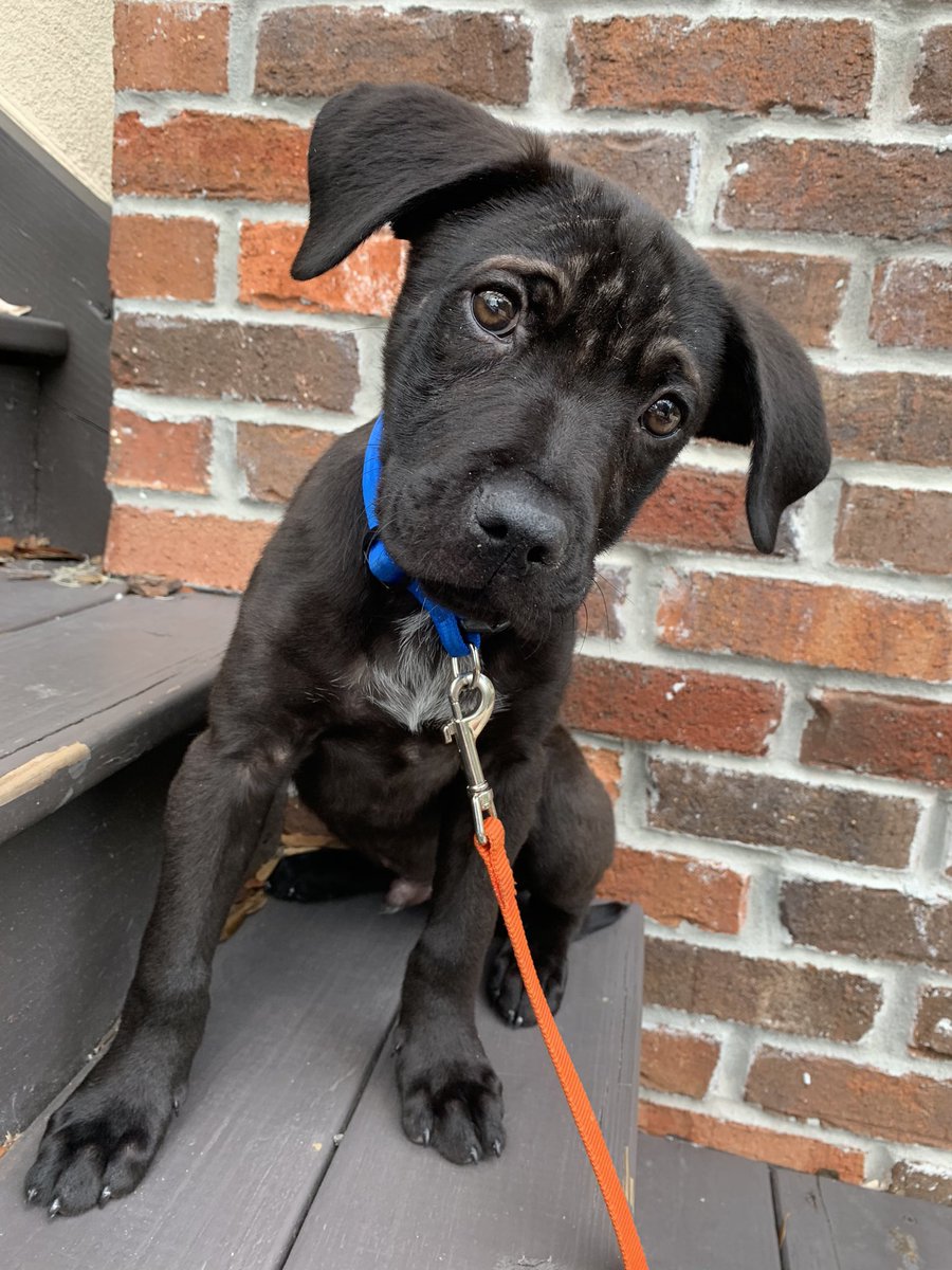 Rachel Slocum tweet media