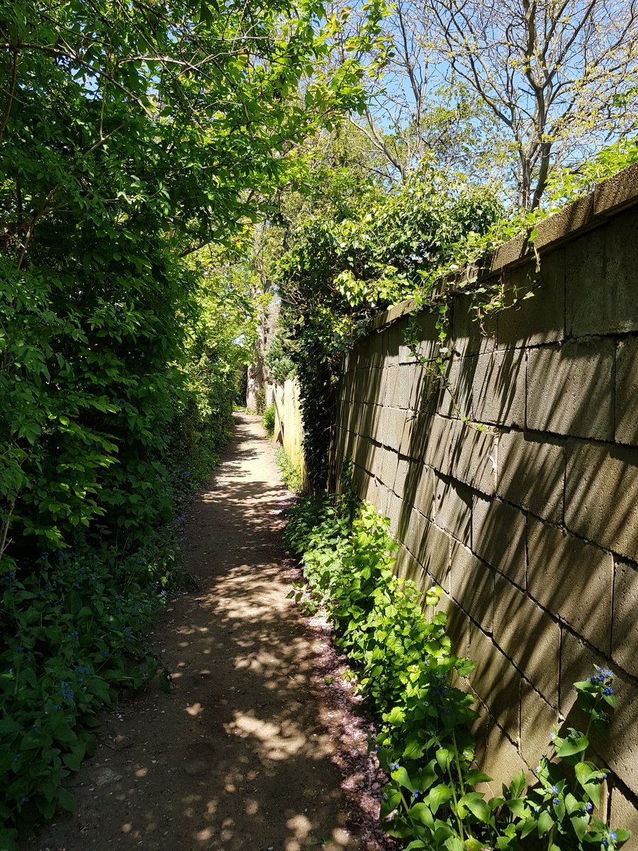 walkngclasshero's tweet photo. #LoveLondonWalkLondon #RoamSweetHome #staylocal #exerciseresponsibly daily exercise combined with shopping in the lovely sunshine-to Richmond thru @theroyalparks Richmond Park & @ring_capital & back along @ThamesPathNT-shopping @WholeFoodsUK-so much poorer & more middle class now https://t.co/gPkhmNtriX