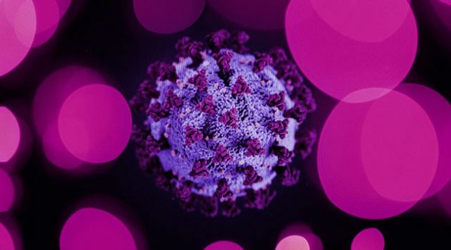 İleride eğitim, ekonomi ve diğer alanlarda salgının etkilerini ölçmek için arşivlenecek bir yazı: Avukat Ali Mert Önal Koronavirüs'te mevcut durumumuzu anlattı. 

xyazar.com/koronavirus-vs…