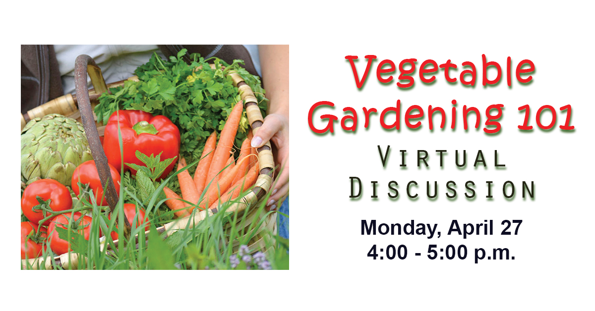 On Monday, April 27 at 4 pm, OCPL &amp; the Onondaga County Master Gardener Program will host an online discussion to help beginning gardeners! 🍅

Please register by visiting bit.ly/Gardening101Ap…. Participants will receive a Zoom meeting link.