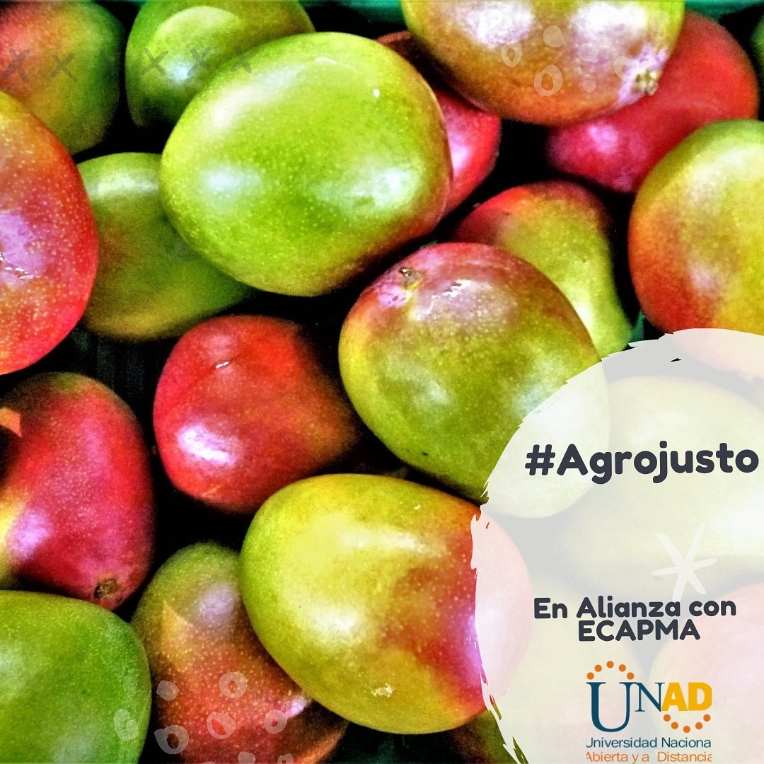 CAMPOUNAD tweet media