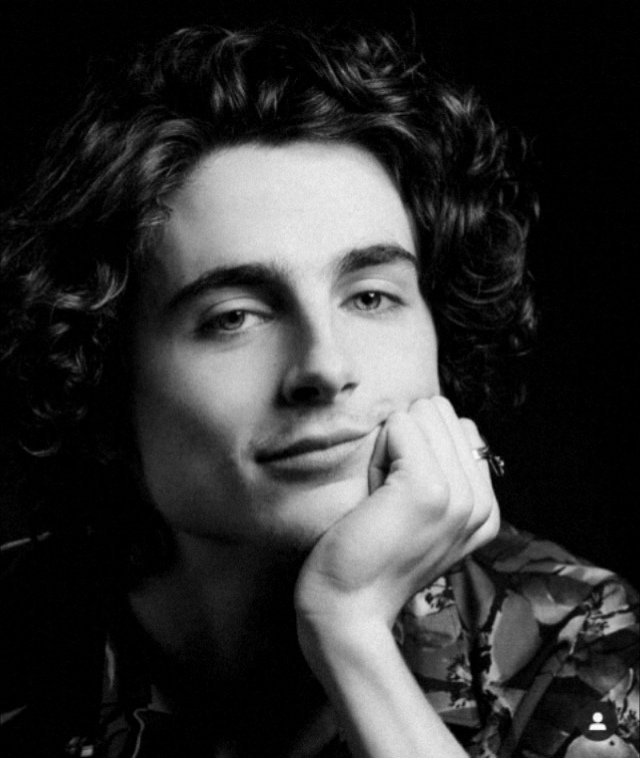 Harry Styles as Timothée Chalamet; a thread :