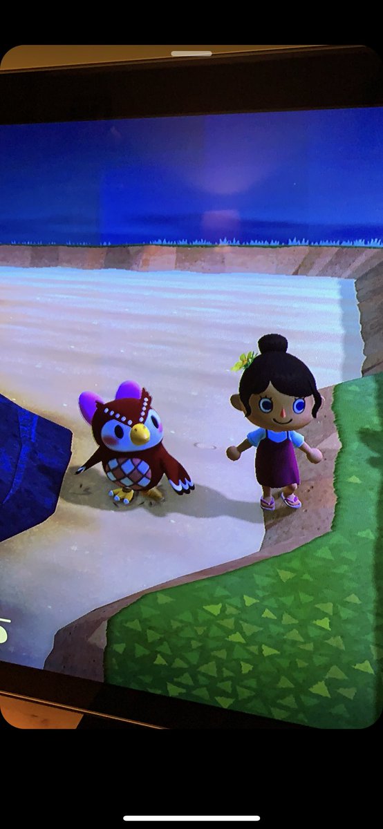 pawneeACNH's tweet photo. celeste is on my island. im trying to get villagers and im out of nook miles so i would rlly appreciate NMT's :) DM me for the dodocode #AnimalCrossingNewHorizons   #AnimalCrossing   #ACNH https://t.co/FnLlqwL16z