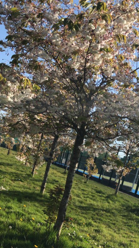 Day 1/7 of #mylifeinpictures challenge. 

Rules: no explanation, no people, challenge somebody new everyday. 

Thanks (I think!) @jasonpjmartin for the nomination!

I challenge <a href="/Orla_Hegan/">Orla Hegan</a> !