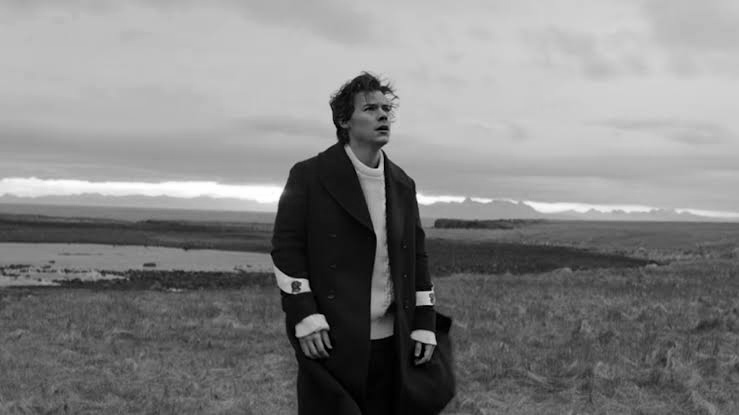 Harry Styles as Timothée Chalamet; a thread :