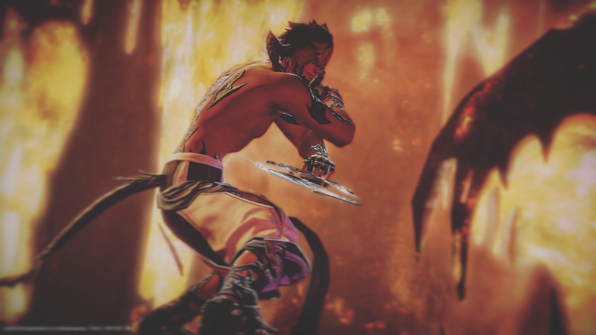 RoeMichaelis's tweet photo. #ffxiv #arealmreborn #heavensward #stormblood #shadowbringers #AuRa #Xaela #faerieserver #sohmalffxiv #firecavernffxiv https://t.co/7nouBwODBg