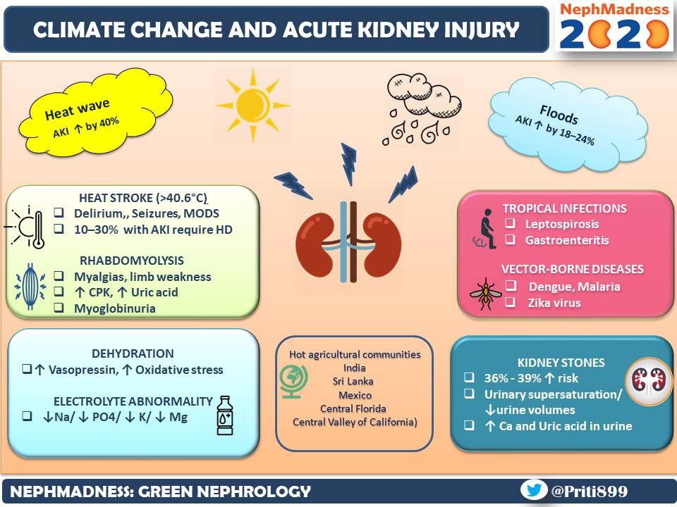 Read more about this
👉ajkdblog.org/2020/03/13/nep…

Excellent blog by @amyaimei 

#greenNephrology
@NSMCInternship 
@AJKDonline