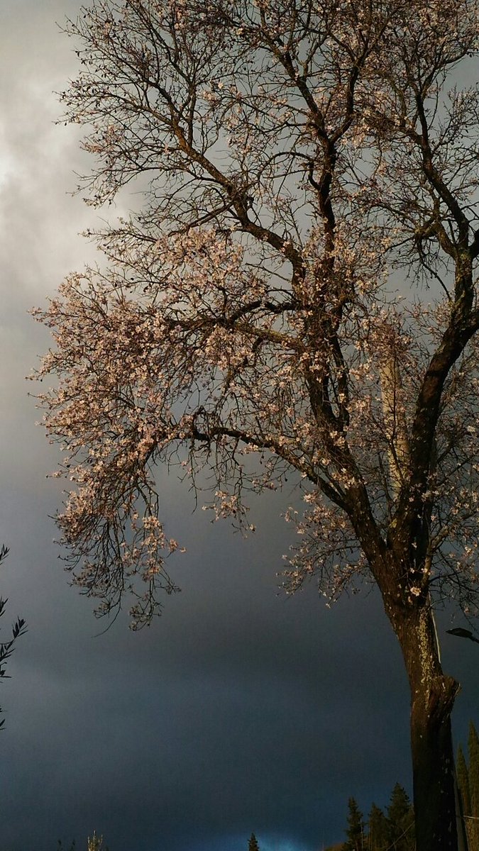 tantumanita's tweet photo. #ColmareIlSilenzio
#CasaLettori 
Speriamo che torniamo in #silenzio ed in punta di piedi a #colmare i prati https://t.co/HPI5pXmrL0