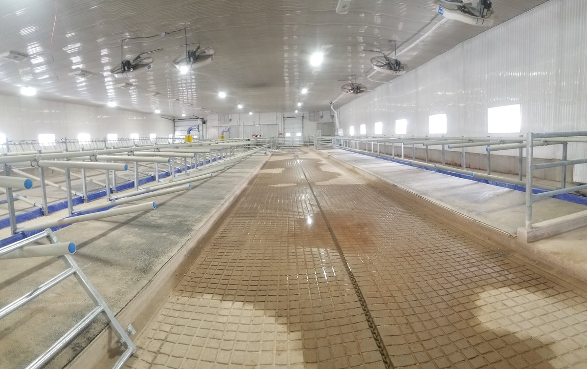 iBarnInc's tweet photo. This new barn on Prince Edward Island is outfitted with @GreyFlexDairy stalls &amp; #HelioLED Lighting. Farmers like the fact that they can provide #CowComfort, without lighting their whole barn up with primary colours!
#GreyFLEX #SpotOfColour #HybridStall https://t.co/h6hi9w2EhO