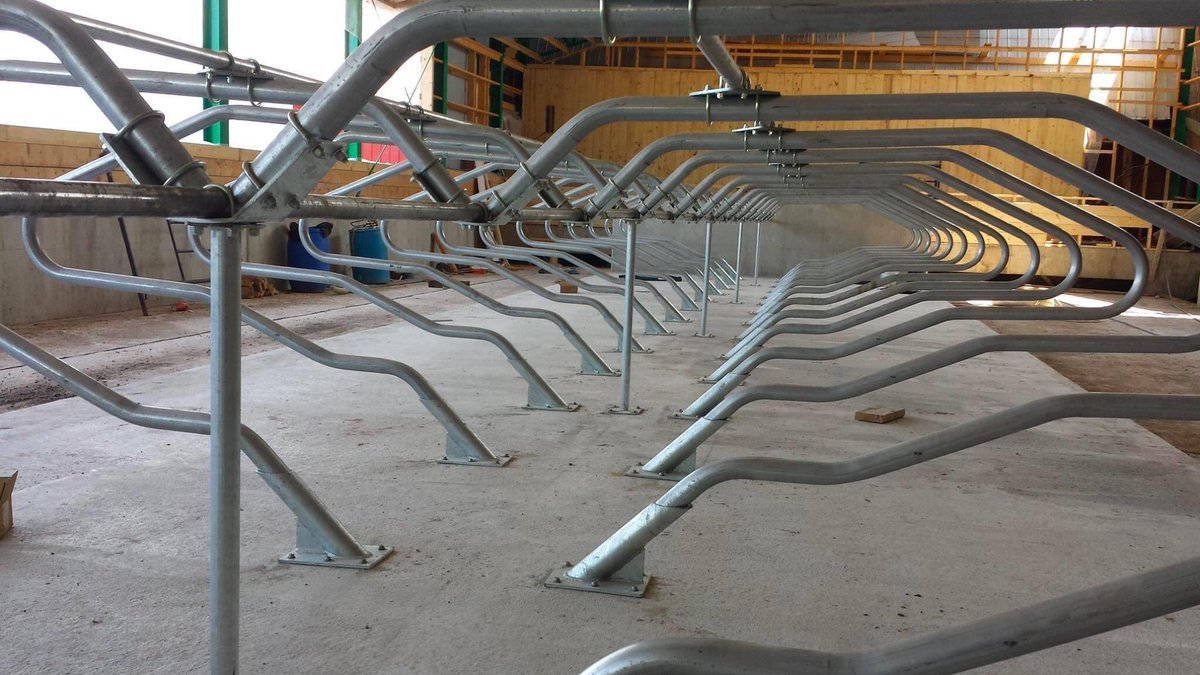 Looking to add more lunge space and a more cow friendly stall?  How about the Canarm EEZY Lunge Floor Mount Freestall? They are mounted to the floor to create stability, provide excellent front and side lunge space, and you only need one post for every 4 stalls!