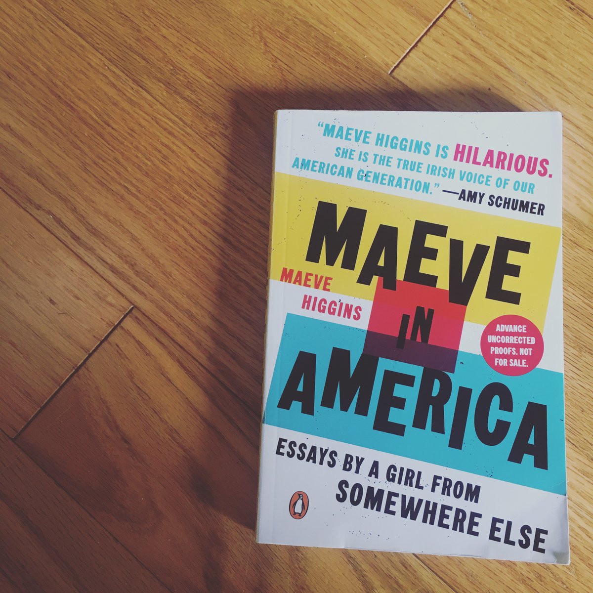here is MAEVE IN AMERICA by  @maevehiggins, born in Ireland, now a resident of New York. comedian Maeve is hilarious, insightful, and America is better because she is here.  #supportimmigrants  #supportimmigrantwriters