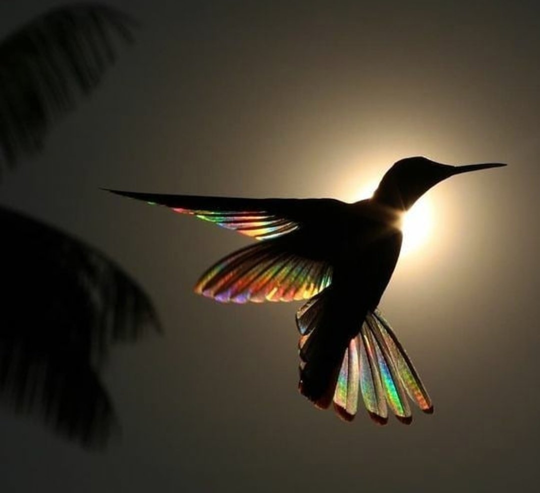 "Bunca imkanın içinde,
mümkünatı yok olup gidiyor güzel şeylerin.
İmkanlar arttıkça mümkünler azalıyor."