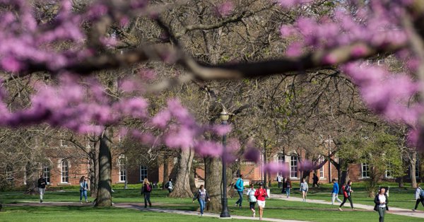 Student Legal Services tweet media