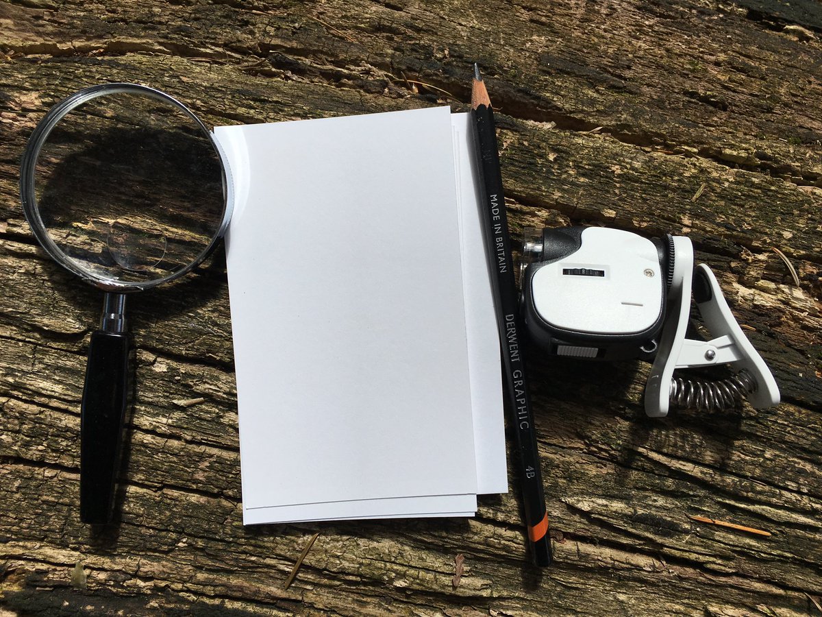 Happy #EarthWeek2020 ! Take a walk with us in your backyard for a fun and safe outdoor activity 🍃 #SCMatHome #VirtualLearning #ELearning 
youtube.com/watch?v=GOVJ6Z…