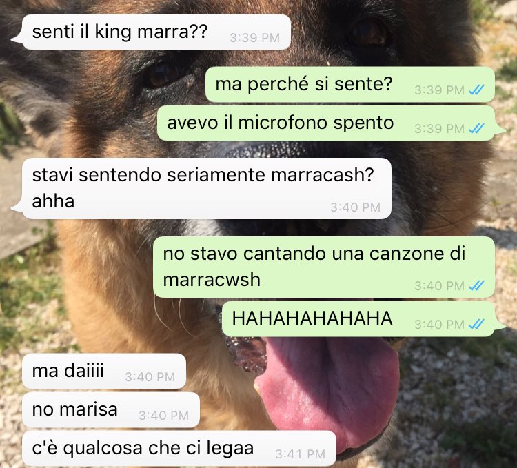 shaymybaee's tweet photo. non so se si è capito, allego chat. 

(poi il king marra che ridere) https://t.co/ubN1LixLSG