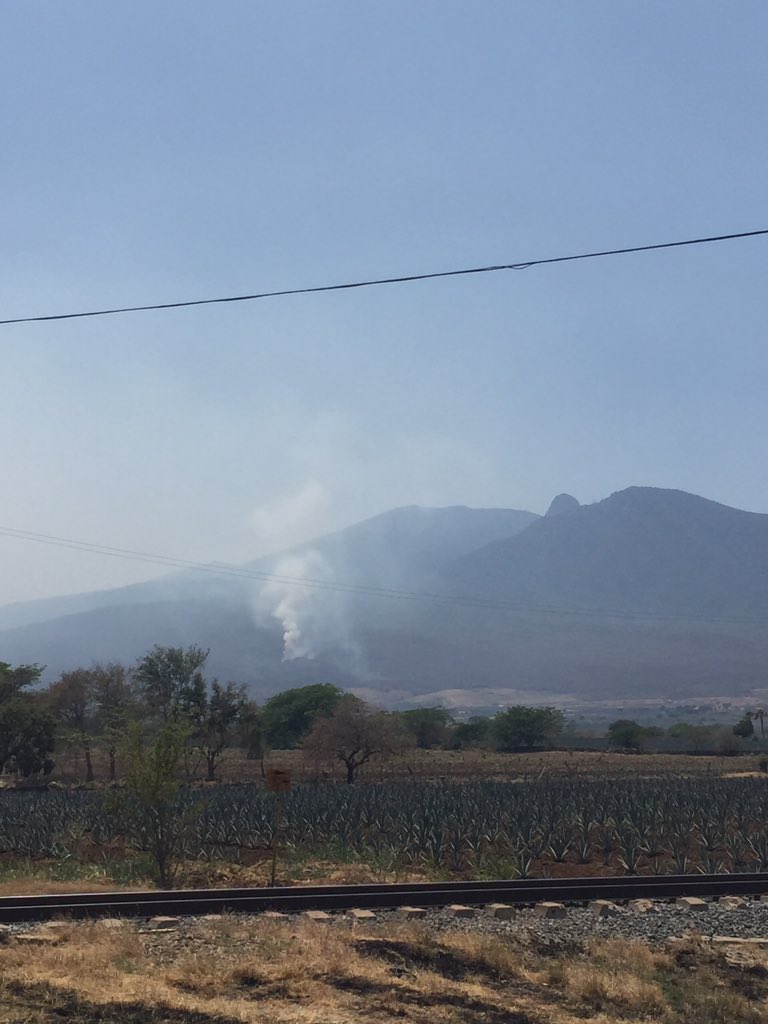 FitoButtowski's tweet photo. @CONAFOR se prendió el cerro de Tequila JAL. 😱 https://t.co/S1hJQogLnj