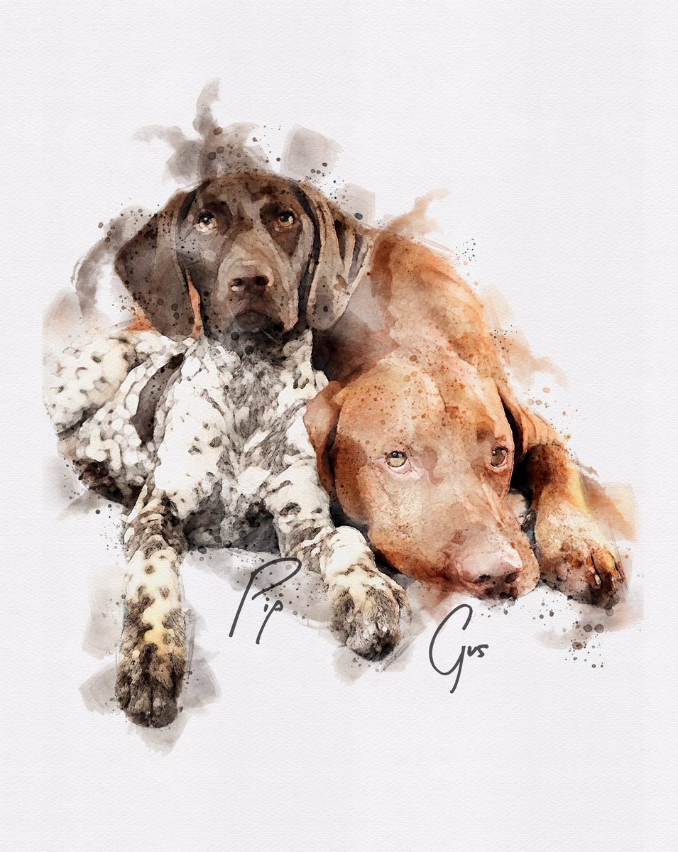 repton_design's tweet photo. @PepperellEddie since my boyfriend has hijacked my office during lockdown, I’ve been listening to #pepperpod all day! Decided to create this pawtrait of the pod legal team! 🐶😍..
Dm me & ill send you a print!
@MrAndrewCotter https://t.co/X7QMZnsyb8