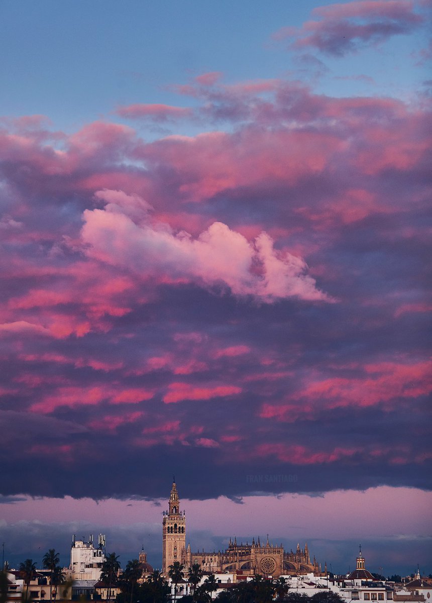 Fran Santiago tweet media