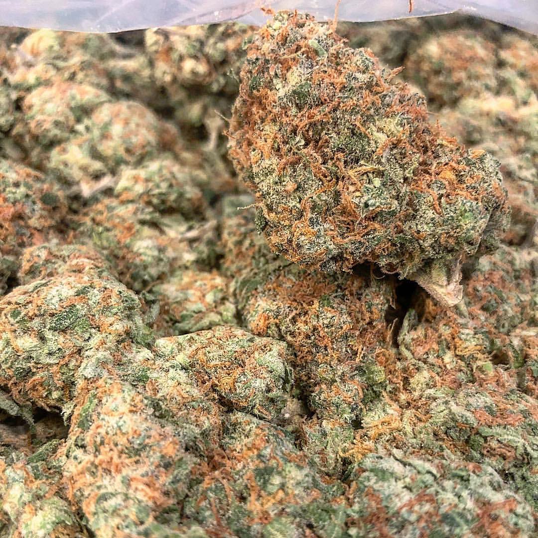 AlsonJones's tweet photo. Weed all day #dcweedcommunity #dankusa #pillsbury #weedmilano #weededibles #dmvcannabiscommunity #deleware #dmvcannabis #baltimore #california710 #california #losangeles420 #washingtonkush #newyorkweed #newyork420 #newyorkcity #maryland #berlin420 #dcweedevents https://t.co/nzDtRnyIXn