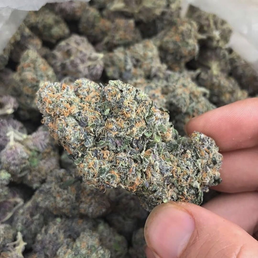 AlsonJones's tweet photo. Weed all day #dcweedcommunity #dankusa #pillsbury #weedmilano #weededibles #dmvcannabiscommunity #deleware #dmvcannabis #baltimore #california710 #california #losangeles420 #washingtonkush #newyorkweed #newyork420 #newyorkcity #maryland #berlin420 #dcweedevents https://t.co/nzDtRnyIXn