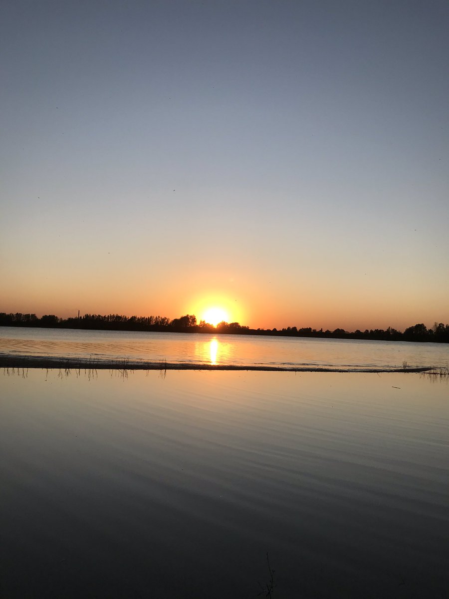 Een wandeling door de uiterwaarden in #Dreumel. Wat een mooi plaatje.