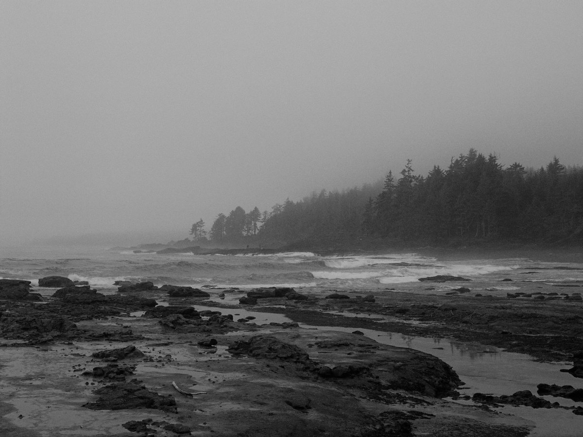 Canon shot on film AE-1. 
Port Renfrew, Botanical Beach, Van Island. 
Moooo d. #emptyartwork