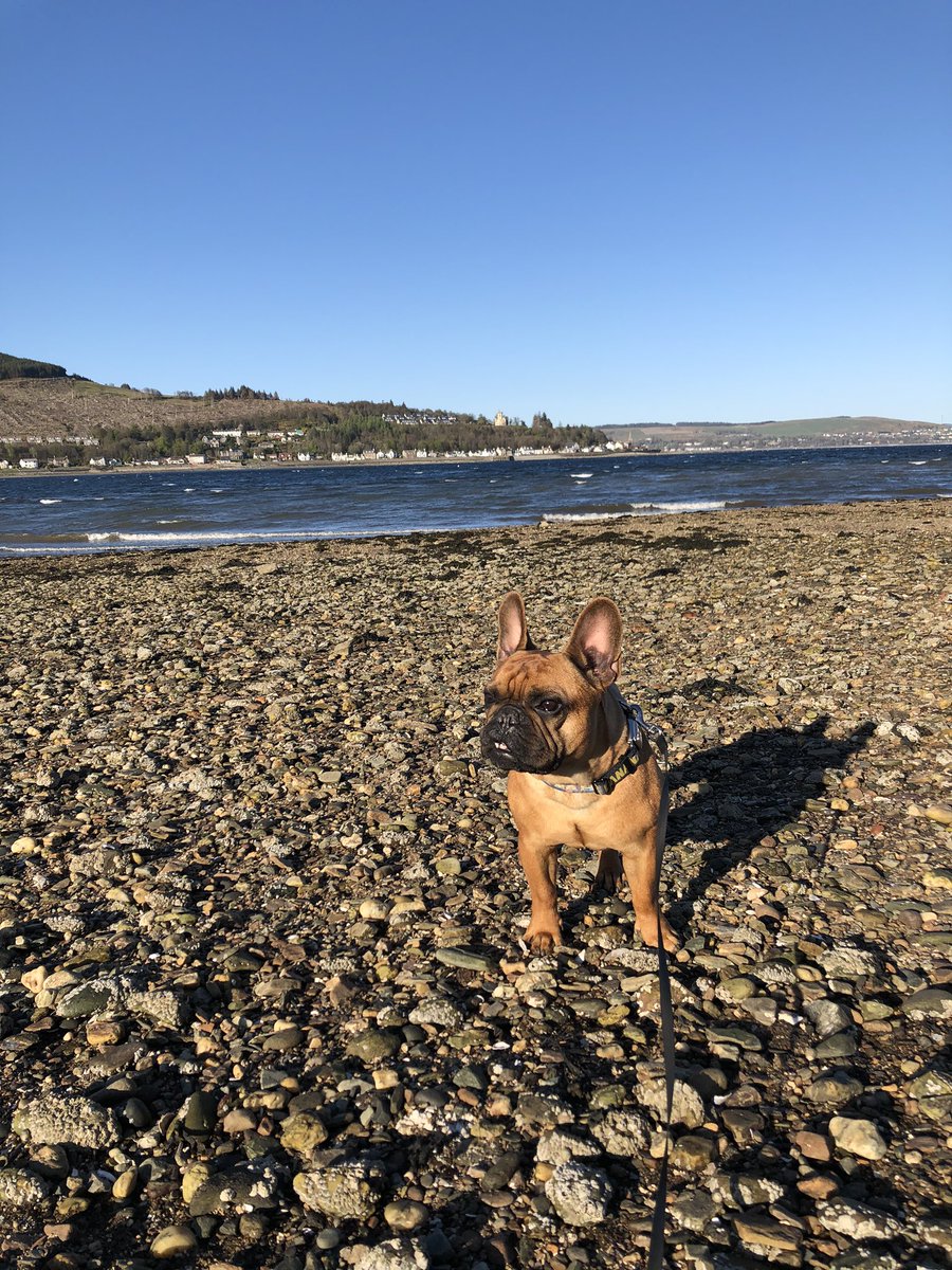MrRed_frenchie's tweet photo. What a lovely day today. Shame about the wind though! #holyloch #dunoon #wildaboutargyll #exploreargyll #cometocowal #dunoonisawesome #strone #kilmun #bluesky #Scotland https://t.co/29m9xMqQZ7