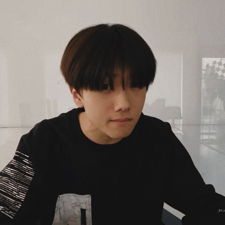 jisung ♦︎ piping plover- in my heart i want to believe that jisung is the sweet, mild-mannered little shorebird i think he is but like. i know who raised him. so my hopes arent high.- video feat. BABIES 