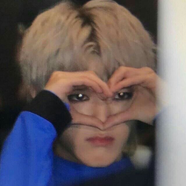 taeyong ♦︎ saw whet owl- all the love in my heart for this weird little bird. hes so small and he goes beep beep beep beep beep. fuckin look at him are you kidding me? are you kidding- 