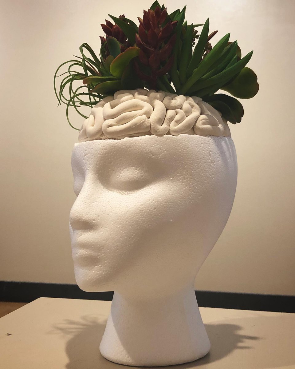 RegisCollegeFAC's tweet photo. Next up in our online exhibit, Convergence: Storytelling through the Arts and Sciences, is a piece by student Mary Rose Bulger.

“A Mind that Thrives: The Limbic Cacti."

https://t.co/hU9a7Cvz6R https://t.co/MIw73heFKG
