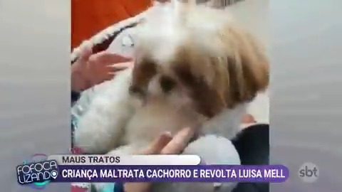 Vídeo incorporado