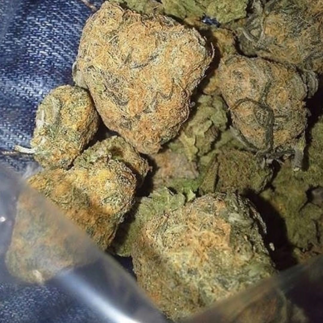 AlsonJones's tweet photo. #dcweedcommunity #dankusa #pillsbury #washingtonkush #newyorkweed #newyork420 #newyorkcity #maryland #berlin420 #dcweedevents #dcweed #dcweedvendor #ukweed #ukdanks #texas420 #mainweed #maryjane #belgiumweed #420milano https://t.co/8aZzwafrMe