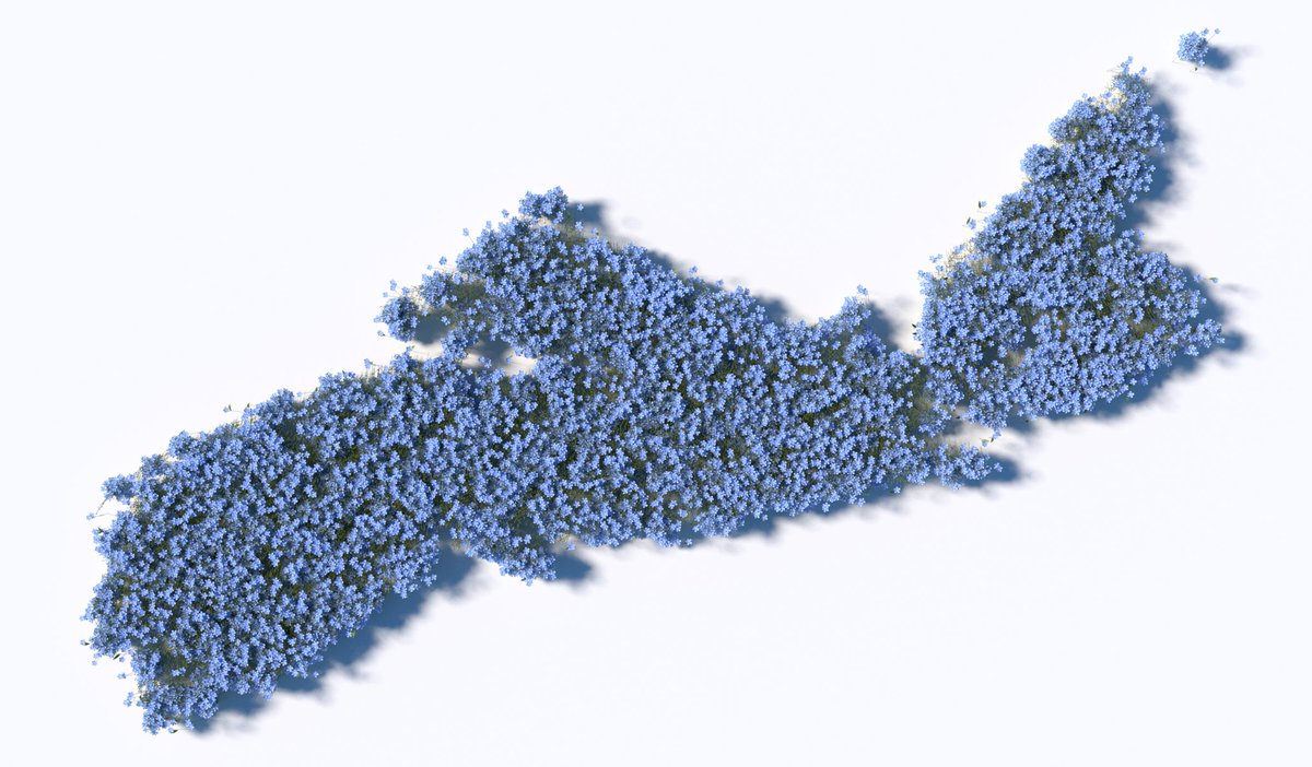 Accomplice Content tweet media