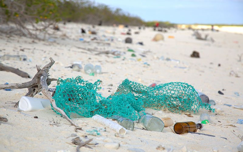 If you want to travel it will be very difficult.  You will have to jump through hoops, blood tests, maybe a microchip. Many will refuse to do it. That's what they want.  They want beautiful places kept away from you as you are destroying them.