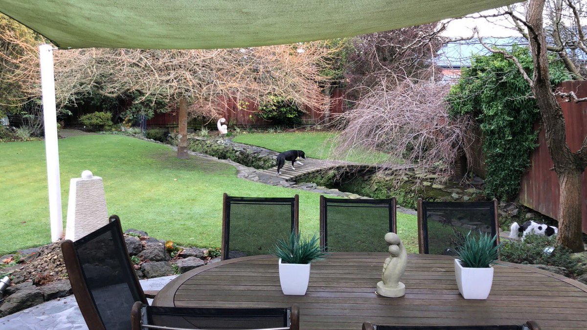 MarcRowanGibson's tweet photo. My life in pictures 4/7. Rules: no people, no words, nominate someone new each day.  
I was nominated by @BeagleboysJulie I nominate @AngVerm007 https://t.co/LE7TV9cR78