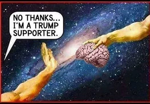 Abdnys's tweet image. 🤔 Never gets old! 😂 @Abdnys #TrumpIsALoser #WhyImNotVotingForTrump #70DayDeadlyDelay #CoronavirusLiar #TrumpGenocide  #TrumpPandemic #DonaldTrumpIsRuiningOurCountry!