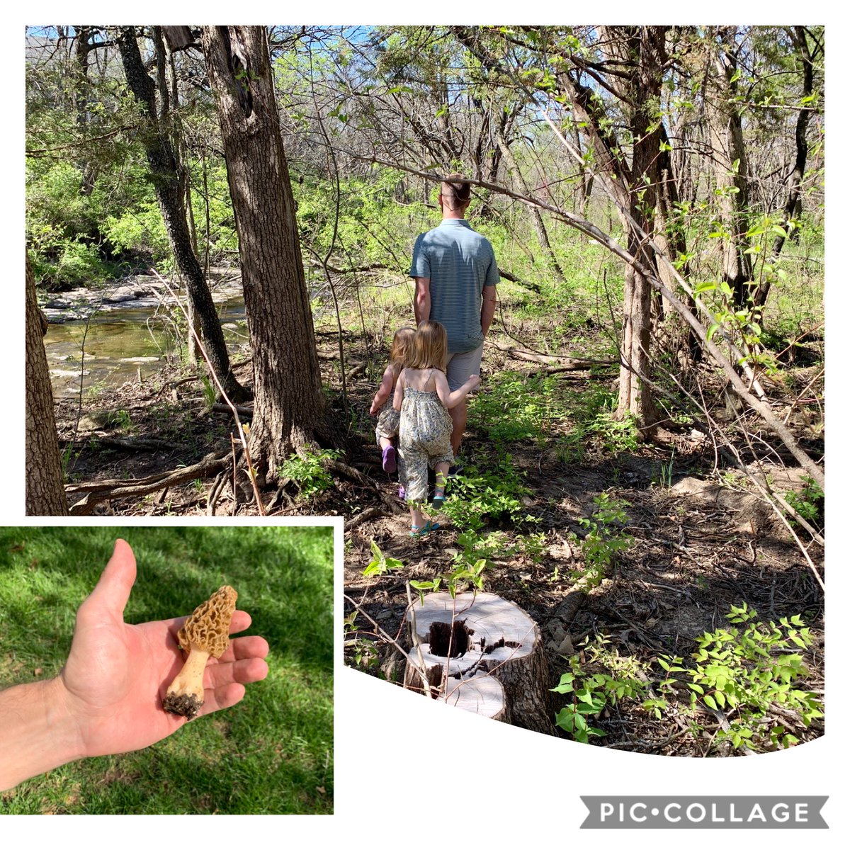 Jennifer Greene tweet media