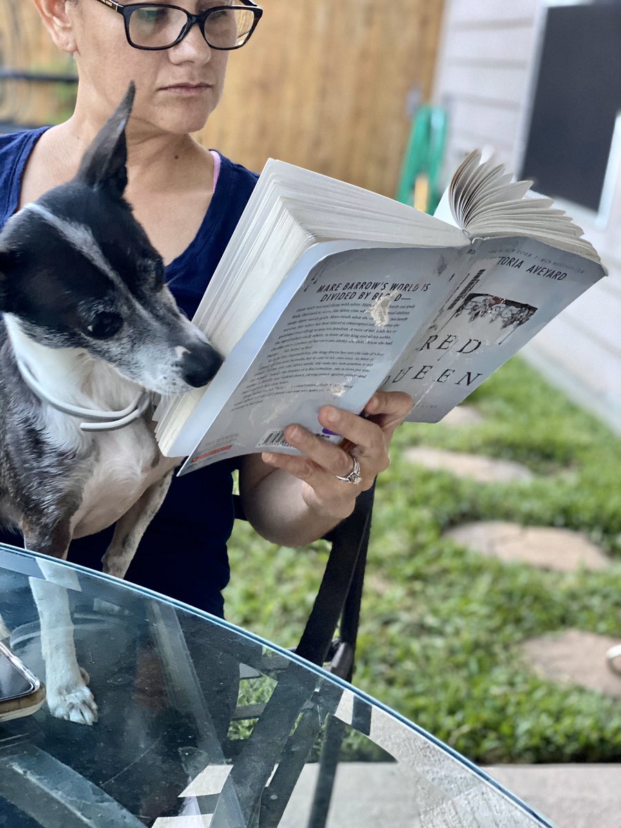 Katy_JHLibrary's tweet image. Had to share.. my too comfortable coworker is eager to find out how the book ends. #kjhpride🐯#NationalLibraryWeek2020 #bookdog