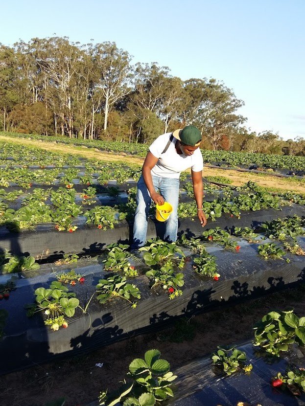 Joseph Macharia PhD tweet media