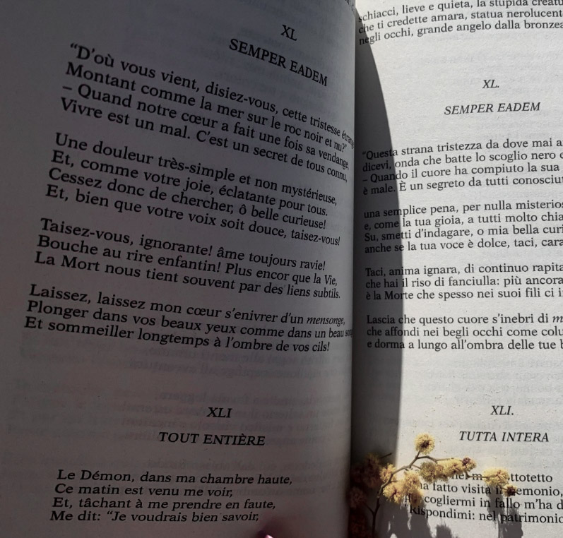 aprovecho que estáis en tl para decir que le déis al corazoncito si queréis que me pase por vuestros dms.