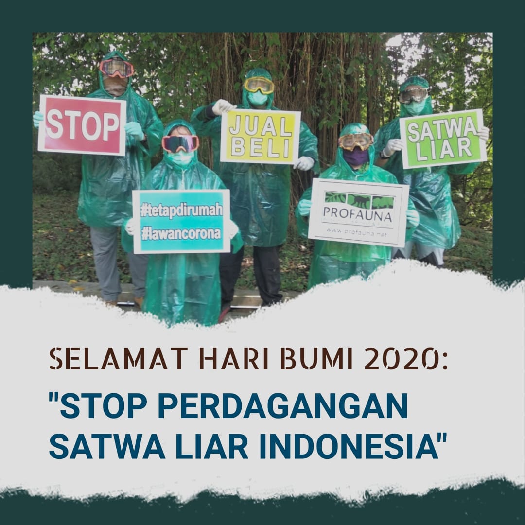 ProFauna's tweet image. Selamat hari bumi, 22 April #haribumi #dirumahaja #profauna