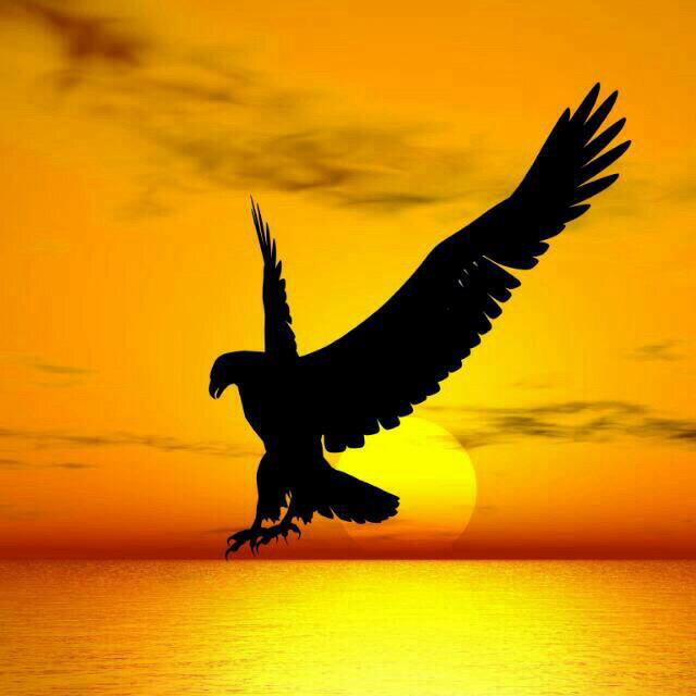 #صورة_ملف_شخصي_جديدة