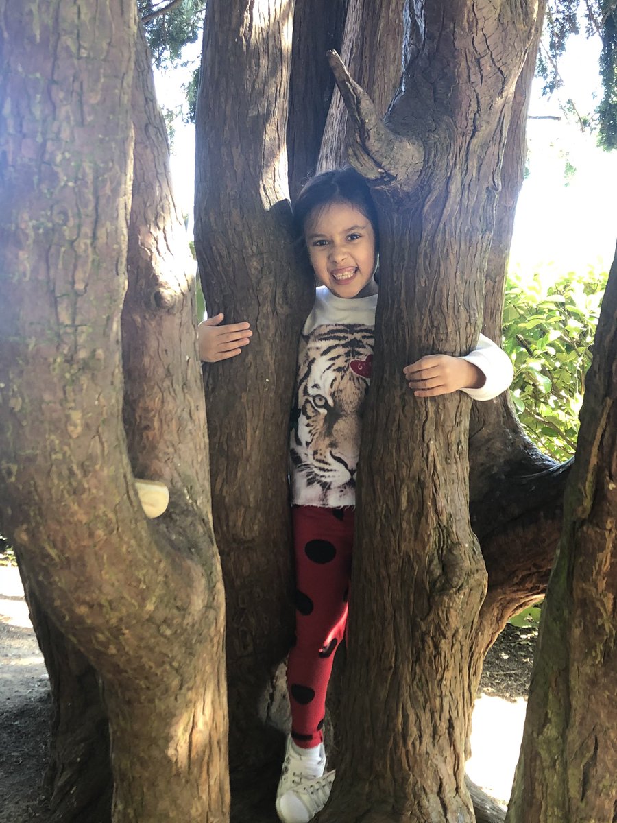 TessTrusu's tweet photo. More trees... different colour, different texture and different sizes #2 🌲🌳🍀🌱🍃☘️ #SpringTime #socialdistancing #observingtrees @SarahDuffey5 https://t.co/ekNxvxbds5