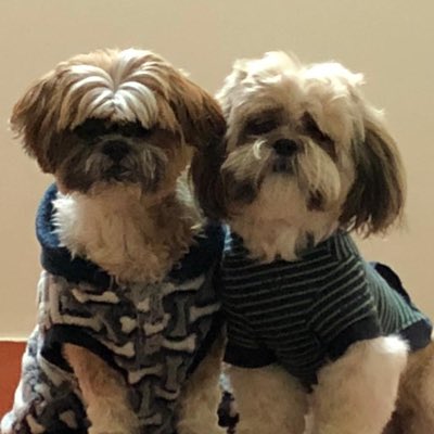 vanebu34's tweet photo. #NuevaFotoDePerfil https://t.co/9TIpwlBzpu