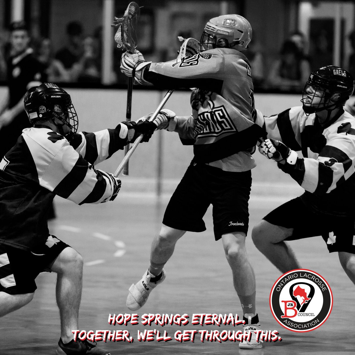 Ontario Lacrosse tweet media