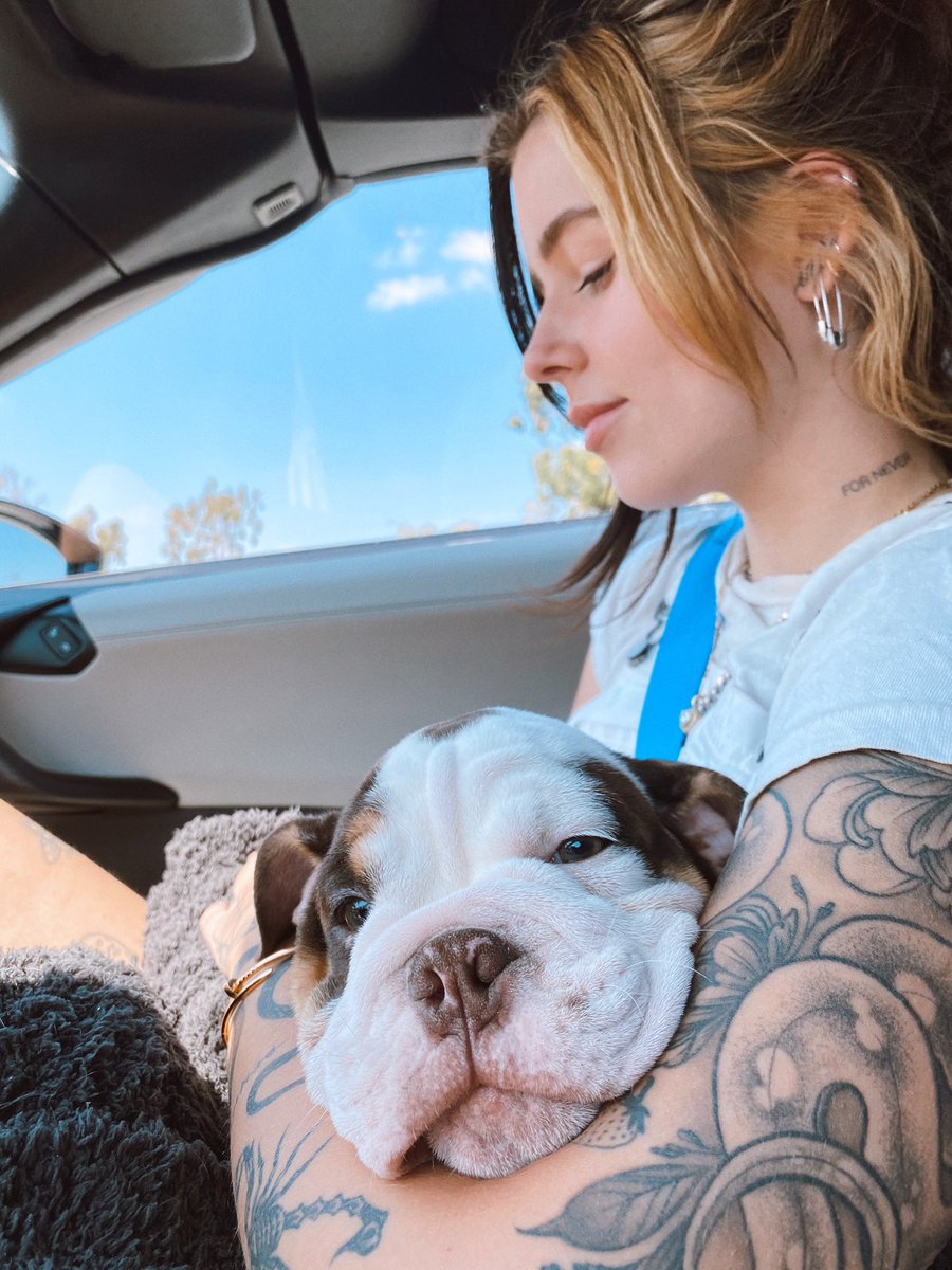 craymusic's tweet photo. Well. Today I was told I was getting my surprise birthday gift early, was not prepared for this. Meet beef 🥺 https://t.co/T3XoFrz1hK