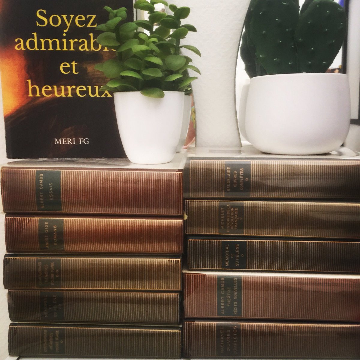 FgMeri's tweet photo. Il a fallu toute une pandémie pour que l’homme réapprenne la #bieveillance ma philosophie et mon combat, j’en parle dans mon livre #SoyezAdmirableEtHeureux non à la division, restons solidaires  #COVIDー19 #PersonnelsSoignants #EmmanuelMacron #survivor2020 https://t.co/4Q0vKziuU3