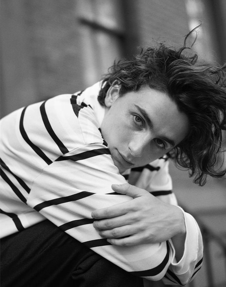 luke hemmings as timothée chalamet: a thread